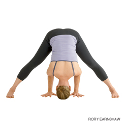 6-Prasarita Padottanasana
