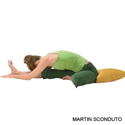8-Janu Sirsasana