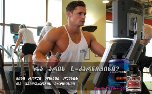 რა არის L-კარნიტინი? მისი როლი გამოშრობის პროცესში